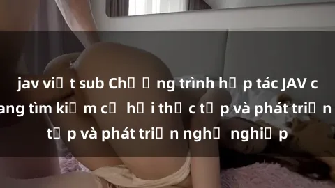 jav việt sub Chương trình hợp tác JAV cho sinh viên đang tìm kiếm cơ hội thực tập và phát triển nghề nghiệp